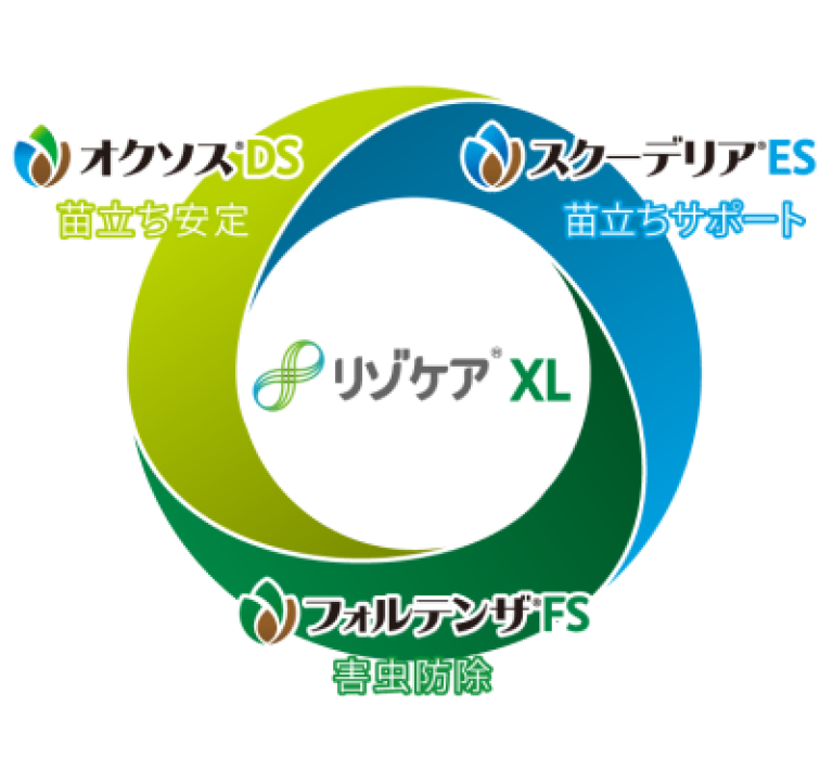 Risocare_XL