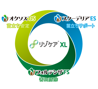 Risocare_XL