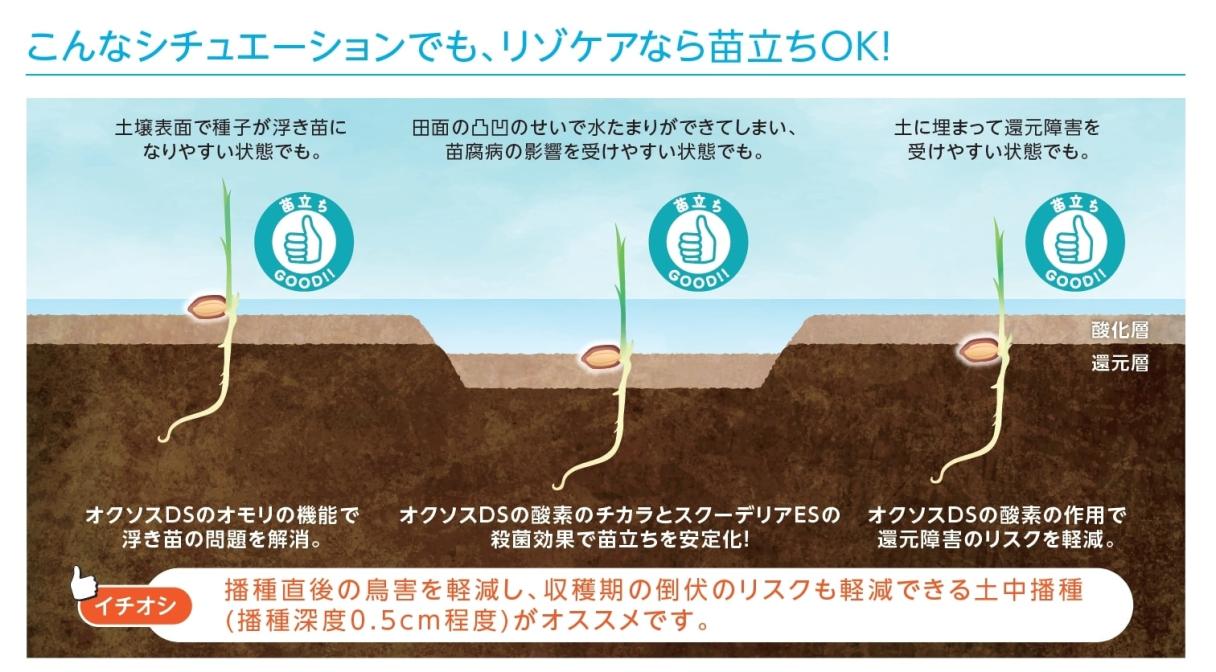 様々なシチュエーションで苗立ちを実現させるRISOCARE（リゾケア）